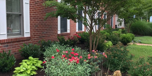 For All Seasons 300 Talbot Street